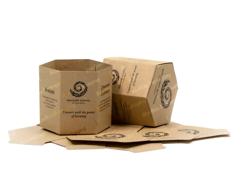 kraft-hexagon-packaging-boxes