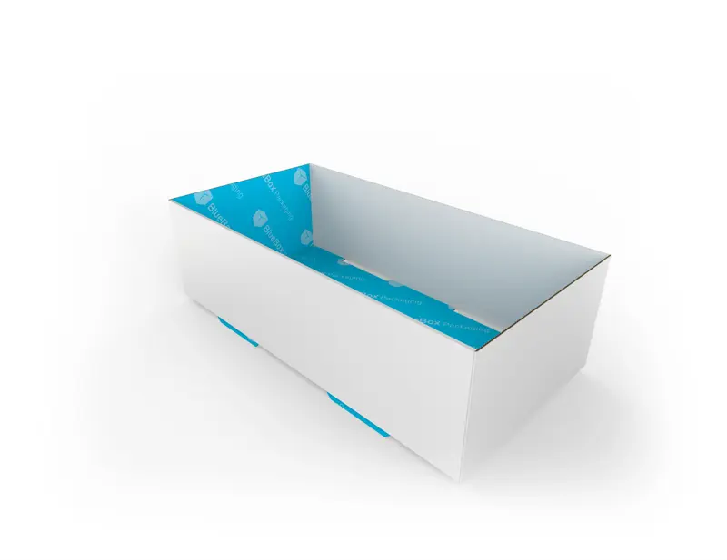 foot-lock-tray-cardboard