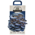 cardboard-mushroom-boxes